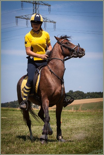 Mounted Games 169
